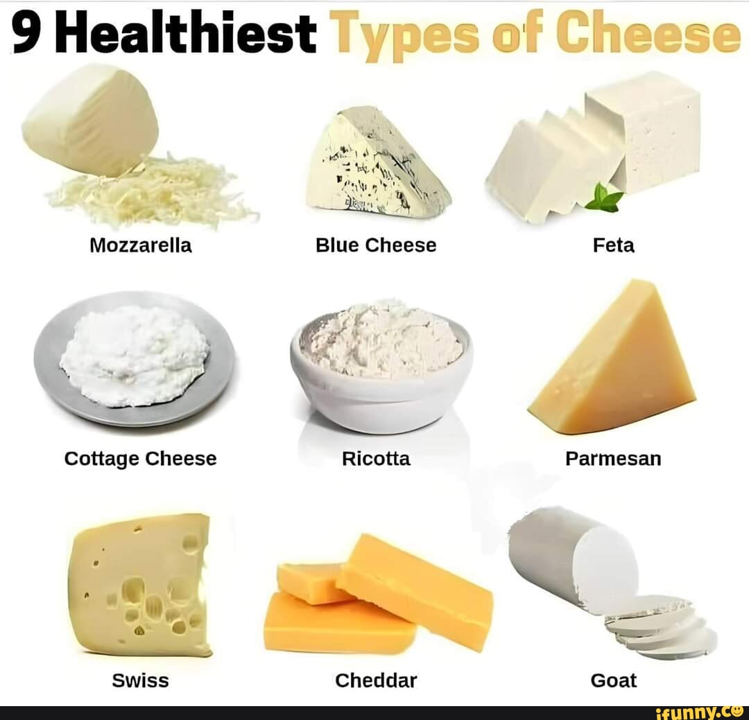 9 Healthiest Types of Cheese Mozzarella Cheese Cottage Cheese Swiss