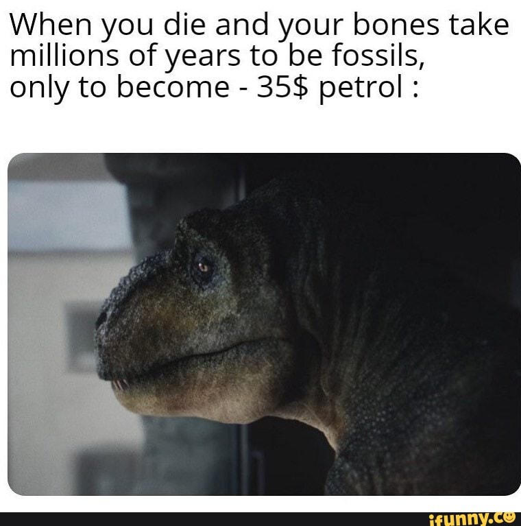When you die and your bones take
millions of years to be fossils,
only to become 35$ petrol