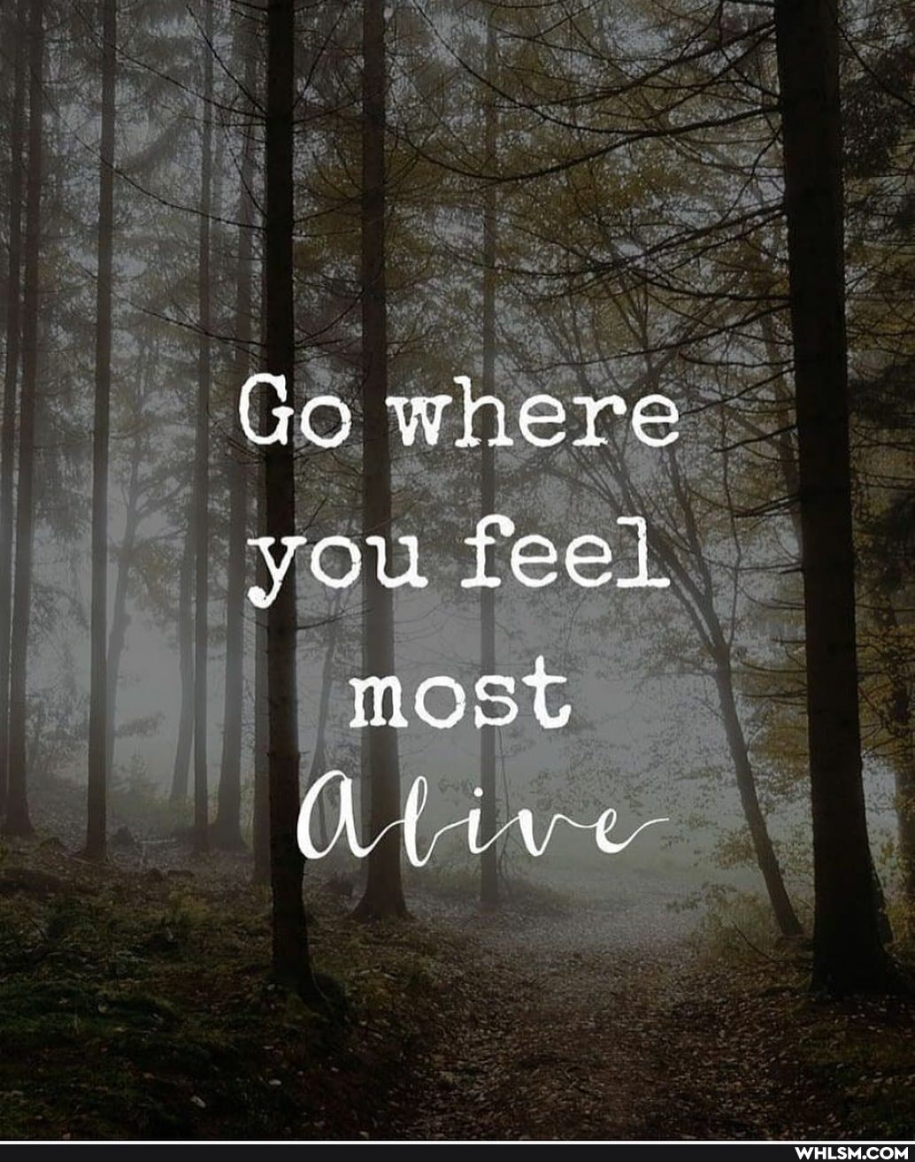Go where you feel most