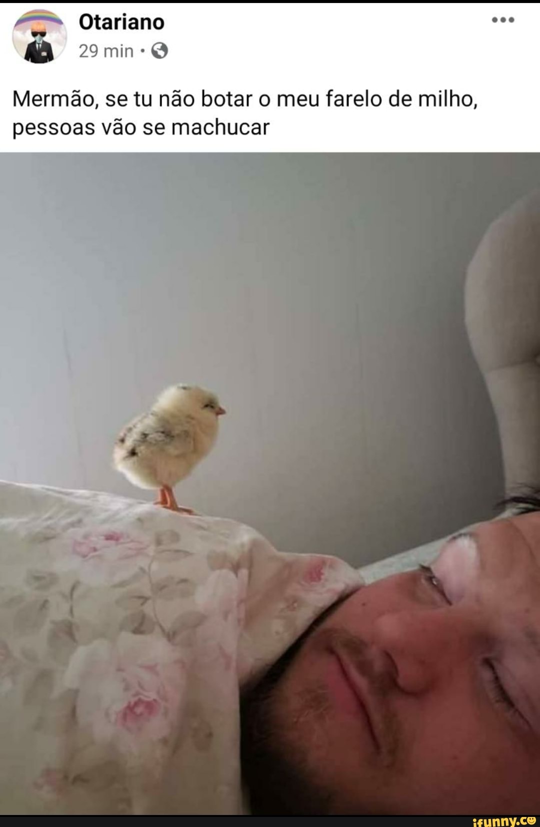 Oftariano
29 min
Mermão, se tu não botar o meu farelo de milho, pessoas vão se machucar