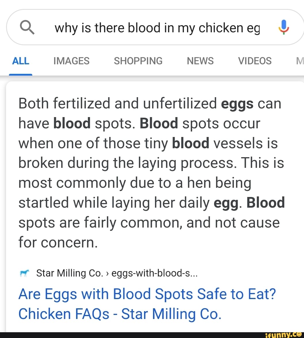 OQ. whyis there blood in my chickeneg Both fertilized and unfertilized eggs can
have blood spots. Blood spots occur
when one of those tiny blood vessels is
broken during the laying process. This is
most commonly due to a hen being
startled while laying her daily egg. Blood
spots are fairly common, and not cause
for concern.
ev Star Milling Co. eggs-with-blood-s...
Are Eggs with Blood Spots Safe to Eat?
Chicken FAQs Star Milling Co.