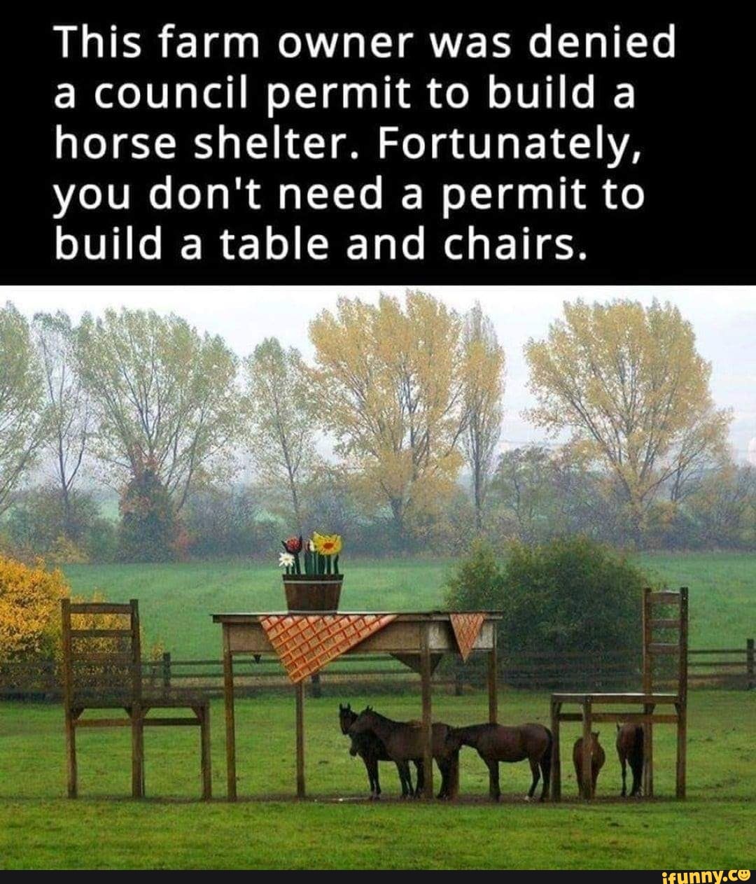 This farm owner was denied a council permit to build a horse shelter