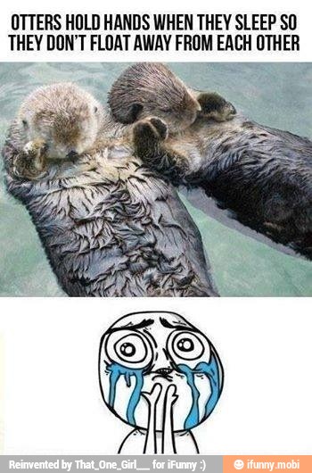 Otters hold hands when they sleep so they don't float away from each.