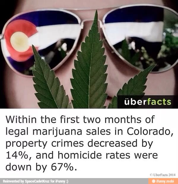 an lariat
Within the first two months of
legal marijuana sales in Colorado,
property crimes decreased by
14%, and homicide rates were
