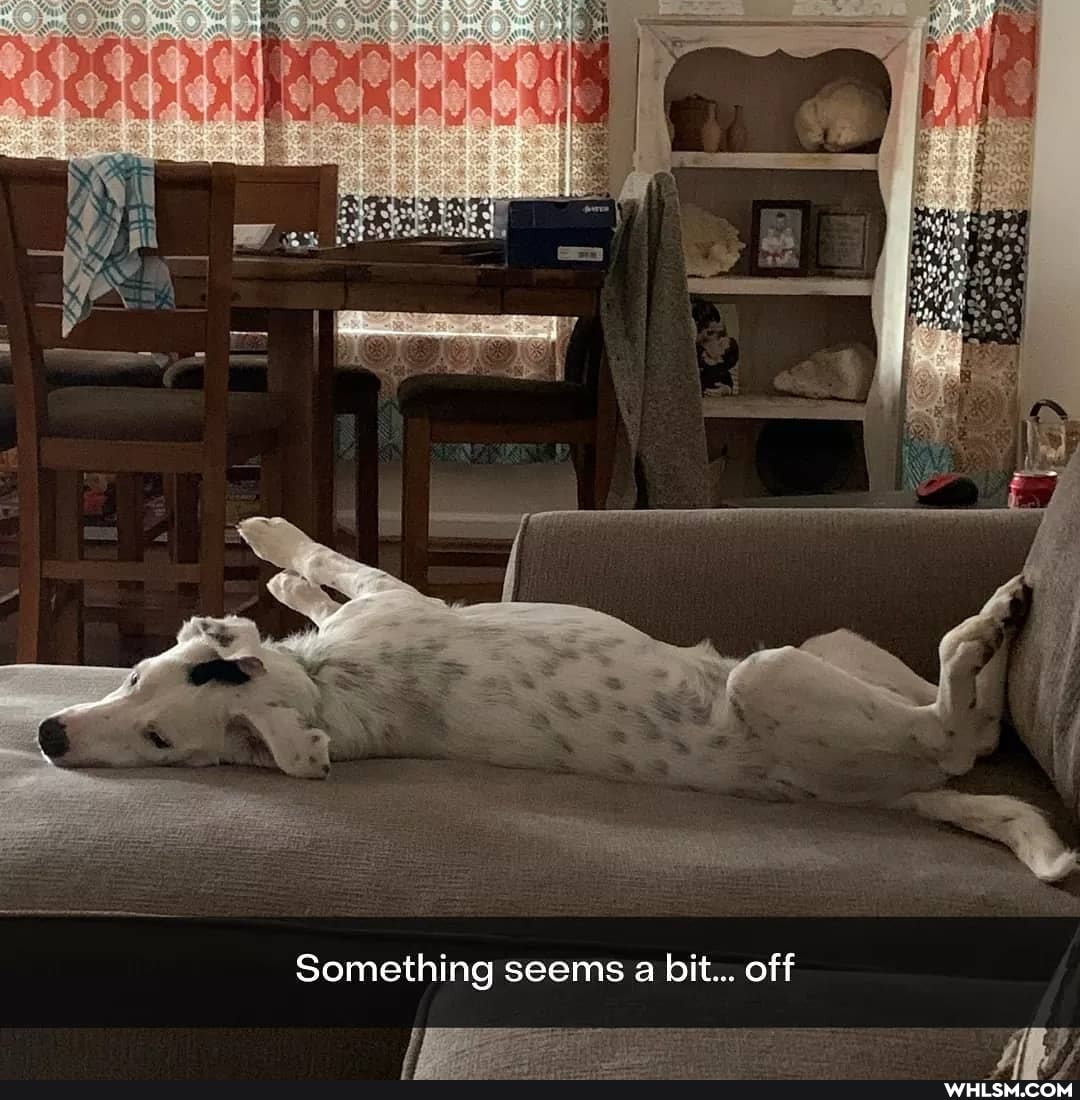 Something seems a bit... off