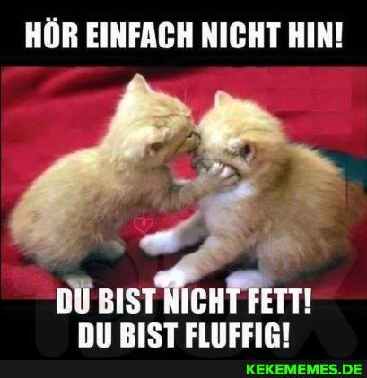 HÖR EINFACH NICHT HIN!
SISTNICHT FETT!
BIST FINEFFIPI