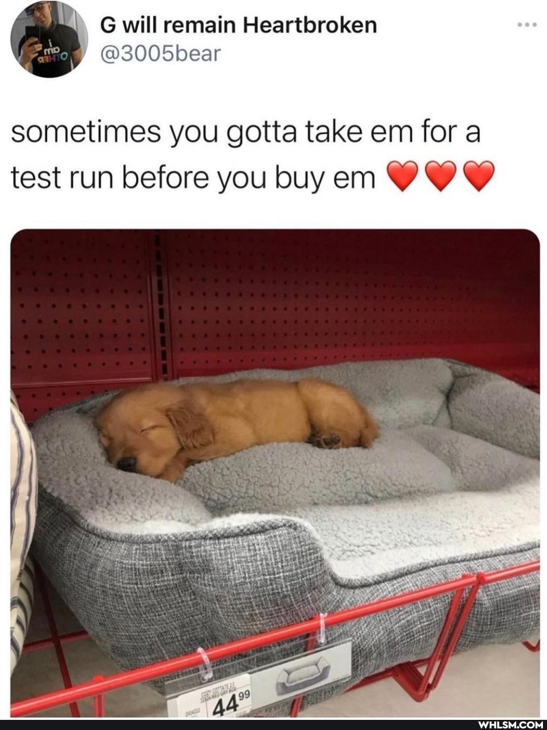 will remain Heartbroken
sometimes you gotta take em for a test run before you buy em