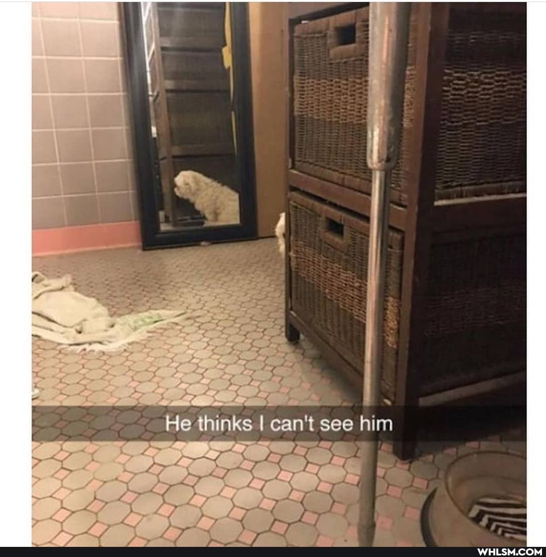 Hethinks I can't see him