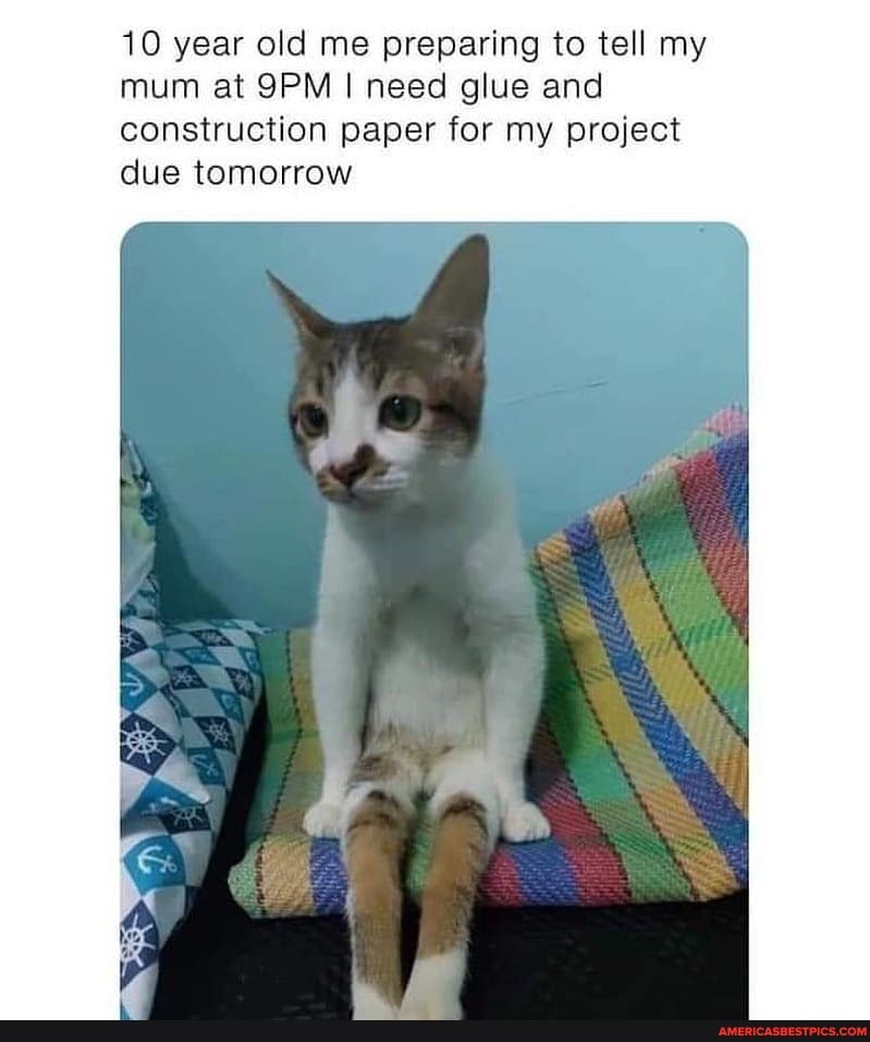 10 year old me preparing to tell my mum at I need glue and construction paper for my project due tomorrow