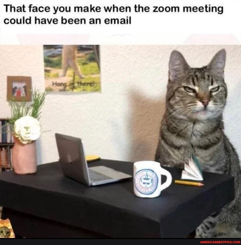 That Face You Make When The Zoom Meeting Could Have Been An Email America S Best Pics And Videos