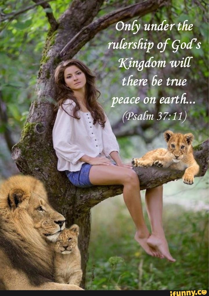 Rulership memes. Best Collection of funny Rulership pictures on iFunny