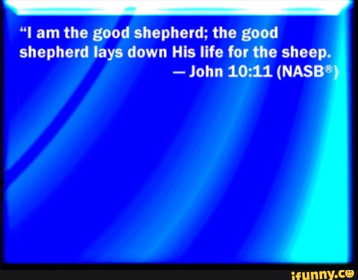 Am The Good Shepherd: The Good Shepherd Lays Down His Life For The 