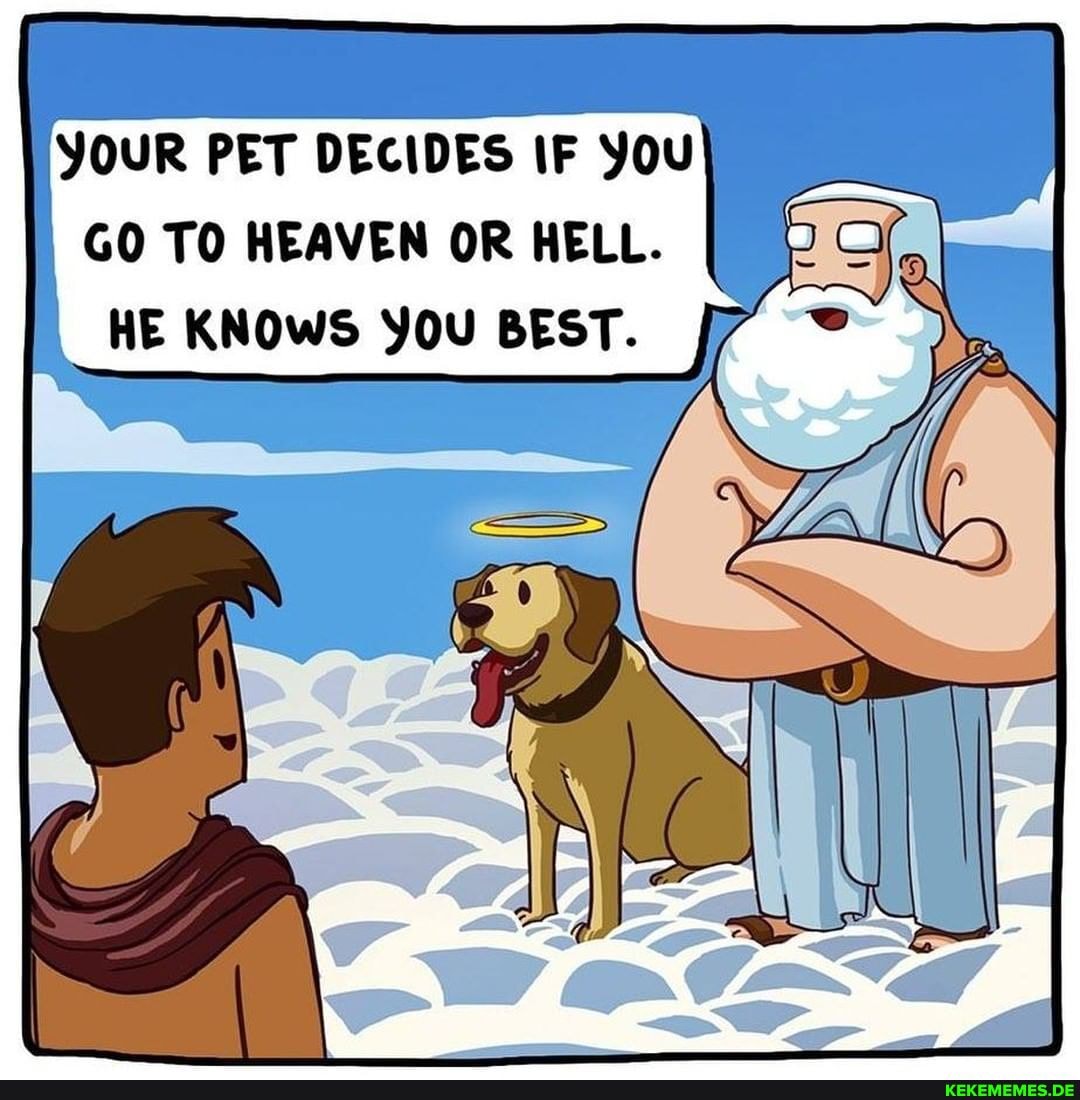 YOUR PET DECIDES IF You
GO TO HEAVEN OR HELL.
HE KNOWS YOU BEST. I