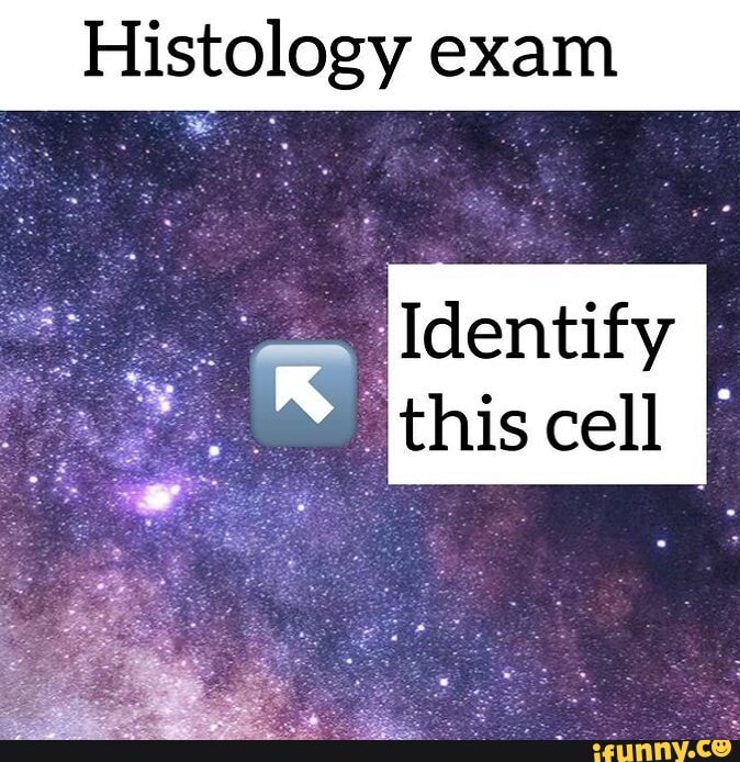 Histology Memes