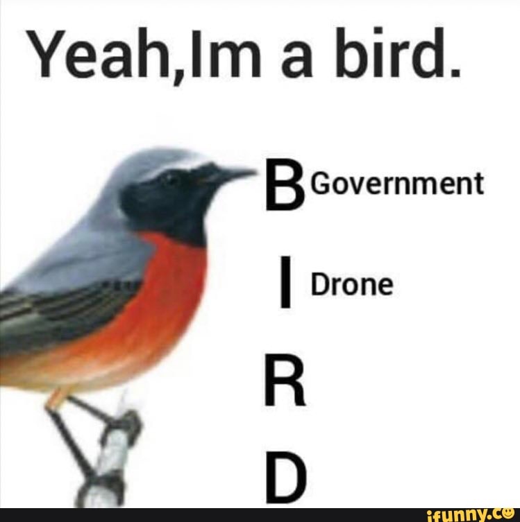 Yeah,IIm a bird.
Government
I Drone