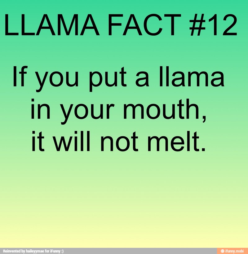 LLAMA FACT #12
If you put a llama
in your mouth,
It will not melt.