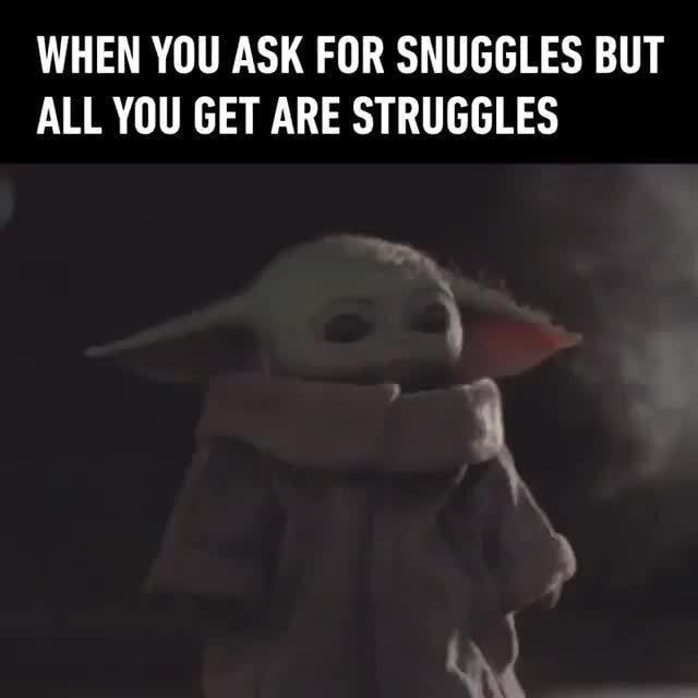 When You Ask For Snuggles But All You Get Are Struggles