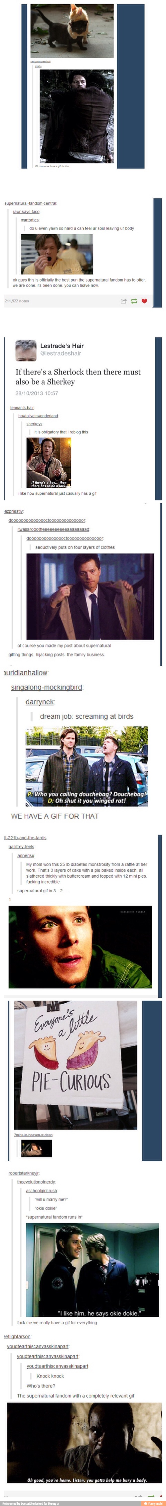 do u even yawn so hard u can feel ur soul leaving ur body
st pun the supernatural fandon