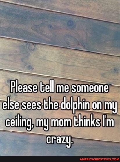 Please tell me someone
'alse'sees the dolphin on my ceiling, my mom thinks Im crazy,