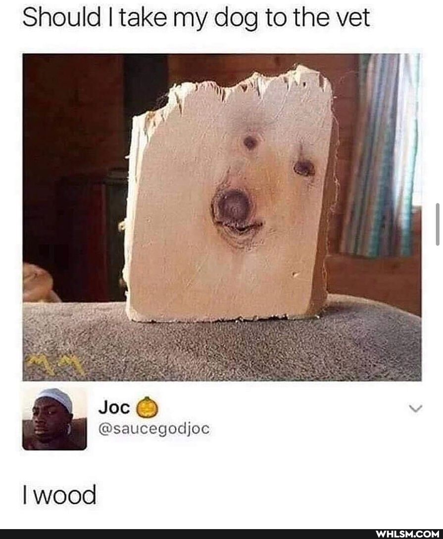 Should I take my dog to the vet
Joc
@saucegodjoc
I wood