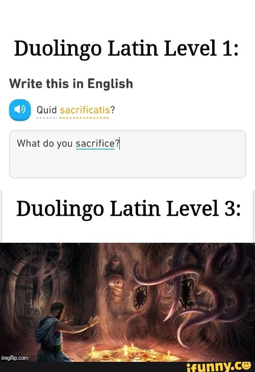 duolingo-latin-level-1-write-this-in-english-what-do-you-sacrifice