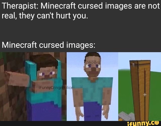 Therapist: Minecraft cursed images are not real, they can't hurt you ...