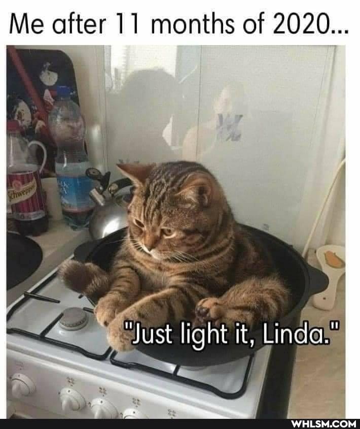 Me after 11 months of 2020...
Just light it, Linda,"