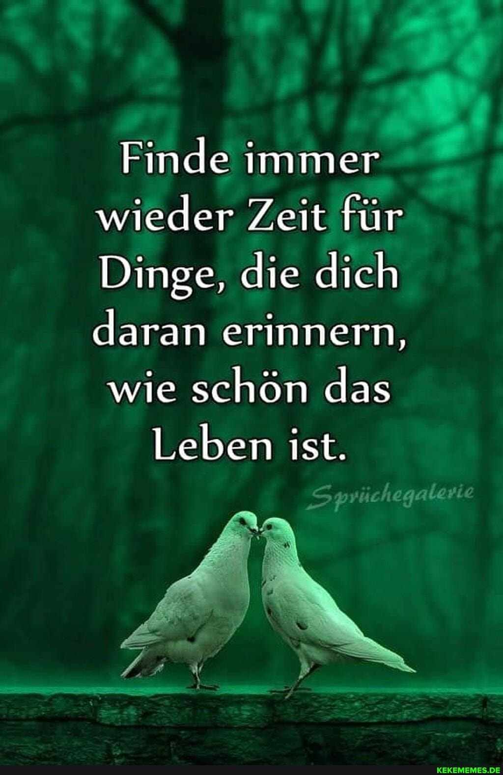 Finde immer wieder Zeit für
Dinge, die dich daran erinnern,
wie schön das
Leben ist.
Sprüchegaleri