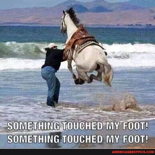 MY
SOMETHING TOUCHED MY FOOT!
