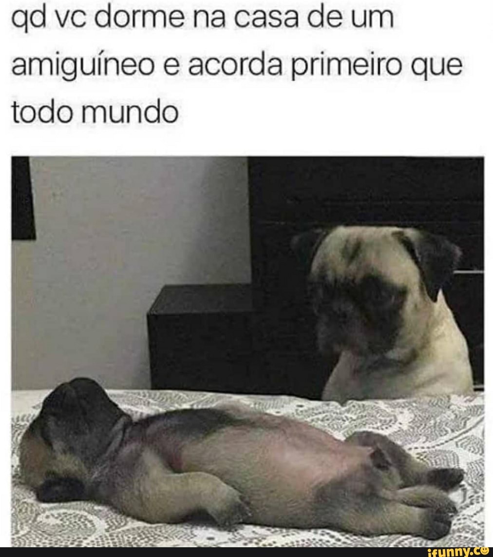 ad vc dorme na casa de um amiguíneo e acorda primeiro que todo mundo