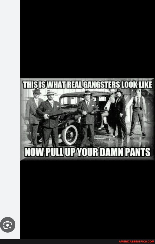 THIS TS EEAL GANGSTERS LOOK LIKE t Wve > NOW PULL UP YUUR DAMN PANTS ...