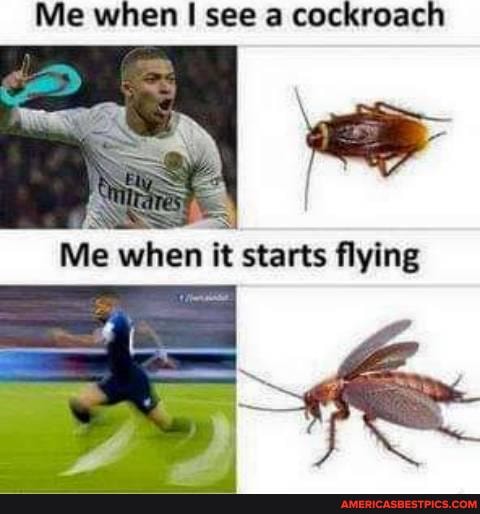 Me when see a cockroach