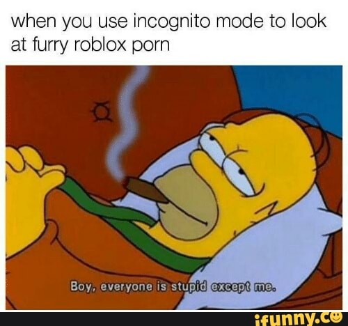 When You Use Incognito Mode To Look At Furry Roblox Porn - 