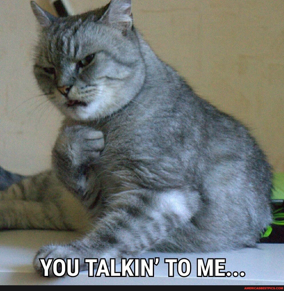 YOU TALKIN' TO ME...