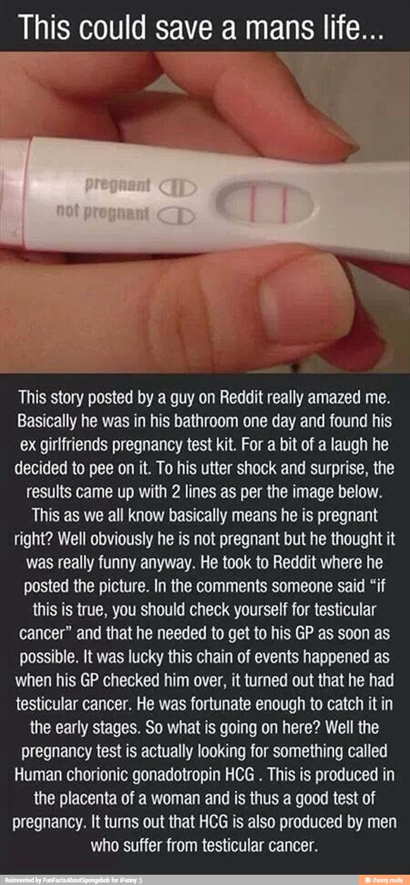 i
This could save a mans life...
This story posted by a guy on Reddit really amazed me.
Basically he was in his bathroom one day and found his
ex girlfriends pregnancy test kit. For a bit of a laugh he
decided to pee on it. To his utter shock and surprise, the
results came up with 2 lines as per the image below.
This as we all know basically means he is pregnant
right? Well obviously he is not pregnant but he thought it
was really funny anyway. He took to Reddit where he
posted the picture. In the comments someone said "if
this is true, you should check yourself for testicular
cancer" and that he needed to get to his GP as soon as
possible. It was lucky this chain of events happened as
when his GP checked him over, it turned out that he had
testicular cancer. He was fortunate enough to catch it in
the early stages. So what is going on here? Well the
pregnancy test is actually looking for something called
Human chorionic gonadotropin HCG
This is produced in
the placenta of a woman and is thus a good test of
pregnancy. It turns out that HCG is also produced by men