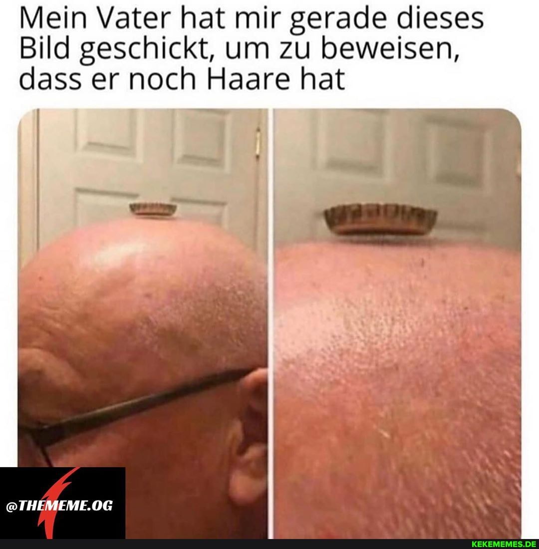 Mein Vater hat mir gerade dieses
Bild geschickt, um zu beweisen, dass er noch Haare hat
@THEMEME.OG