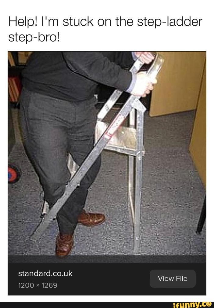 Help! I'm stuck on the stepladder stepbro! standard co uk 1200 1269