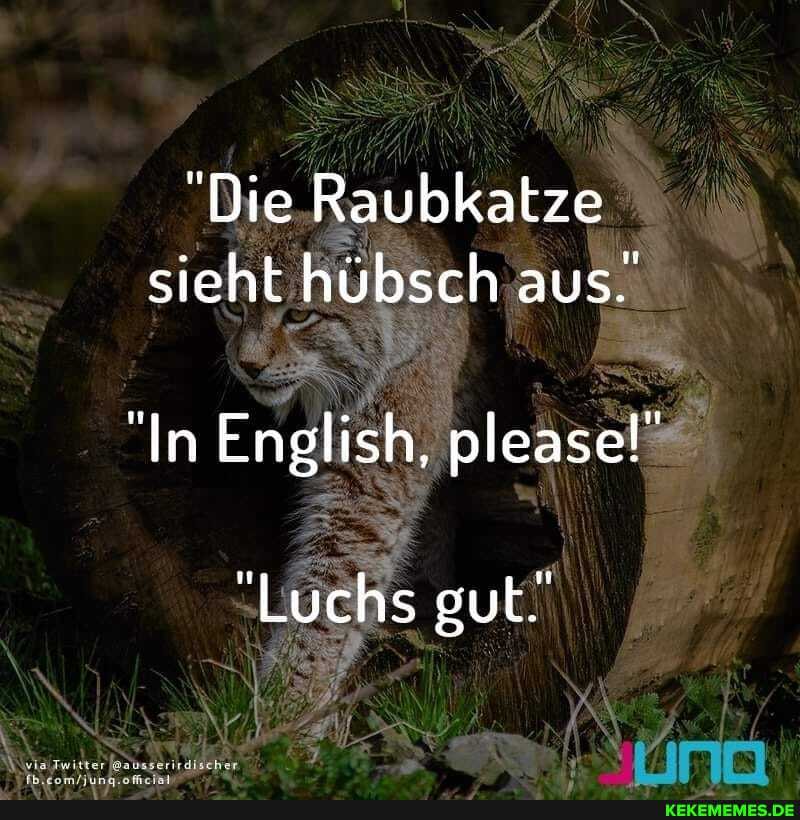 "Die Raubkatze sieht hübsch aus.
"In English, please!"
"Luchs gut!