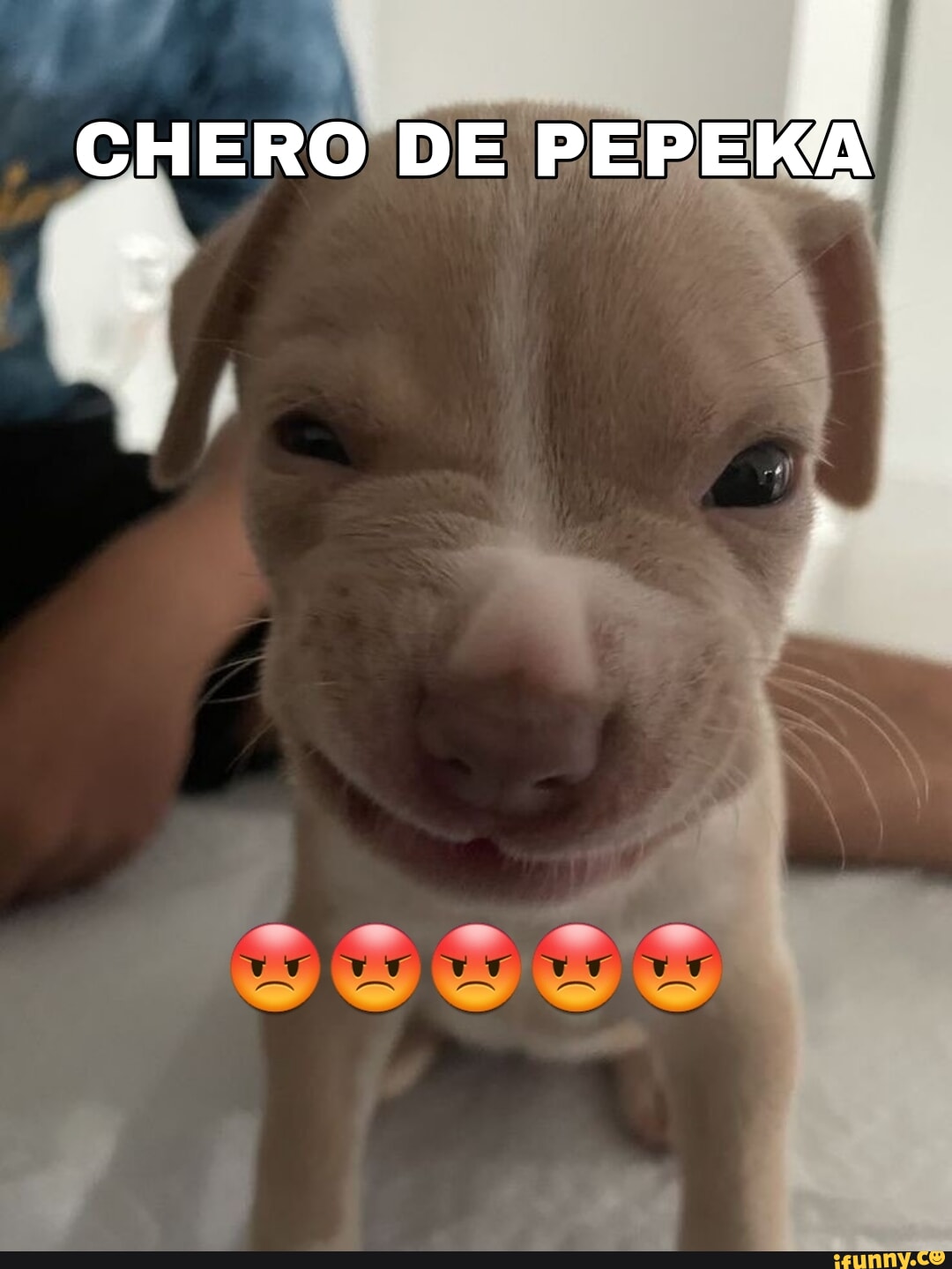 Pepeka fotos