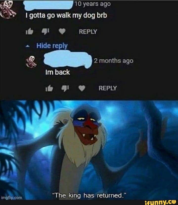 10 years ago
REPLY gotta go walk my dog brb
Hide reply
2 months ago
Inn back
REPLY
SS
"The king has returned."