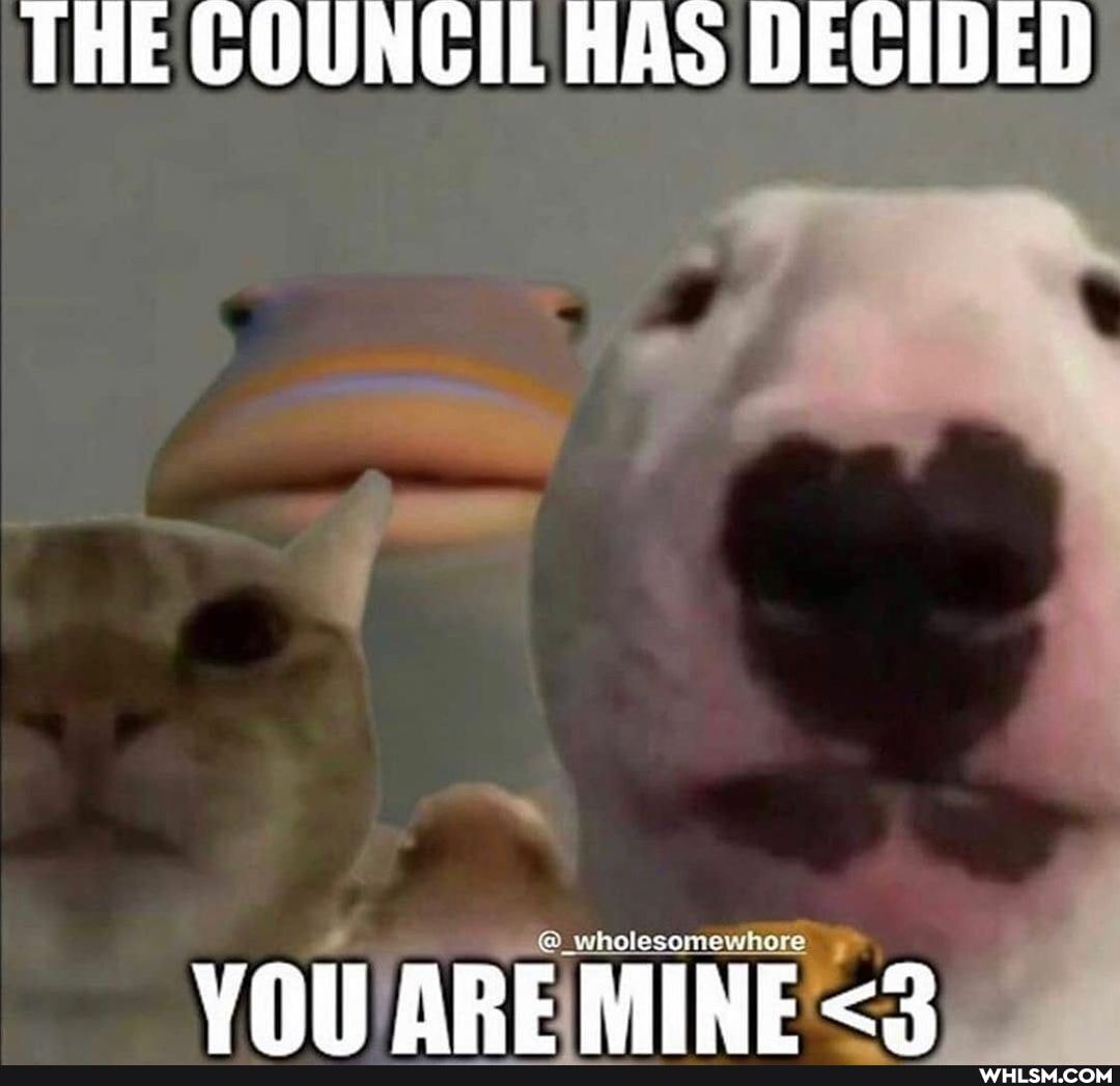 THE COUNCIL HAS DECIDED
@_wholesomewho