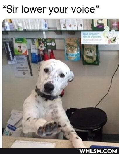 "Sir lower your voice"