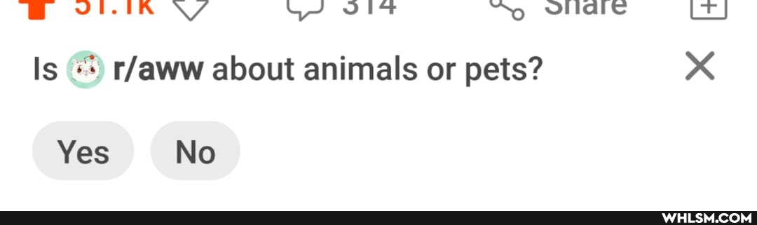 @ ViI-In V/ Vit "No LT J
Is about animals or pets?
Yes No