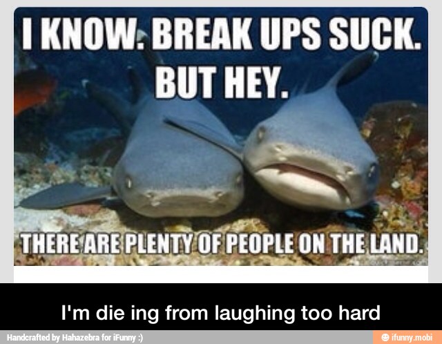 I KNOW: BREAK UPS SUCK.
BUT HEY.
I'm die ing from laughing too hard - I'm die ing from laughing too hard