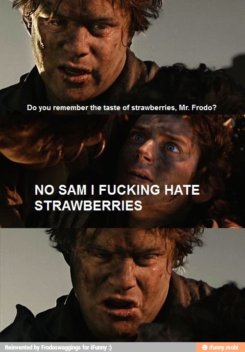 Do You Remember The Taste Of Strawberries Mr Frodo A I No Sam I Fucking Hate Ifunny