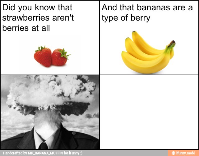 Did you know that And that bananas are a
strawberries aren't type of berry
berries at all