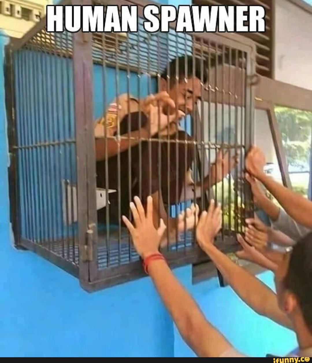 "MAM
HUMAN
dl as im