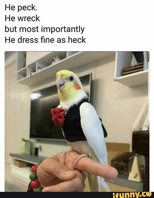 He peck.
He wreck
but most importantly
He dress fine as heck