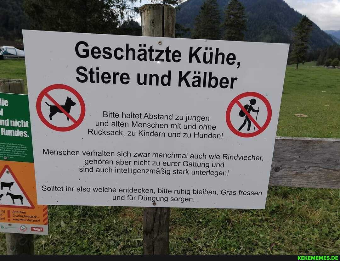 Geschätzte Kühe,
Stiere und Kälber
Bitte haltet Abstand zu Jungen und alten Menschen mit und ohne
Rucksack, zu Kindern und zu Hunden!
Menschen verhalten sich zwar manchmal auch wie Rindviecher, gehören aber nicht zu eurer Gattung und sind auch intelligenzmäßig stark unterlegen!
Solltet ihr also welche entdecken, bitte ruhig bleiben, Gras fressen und für Düngung sorgen.