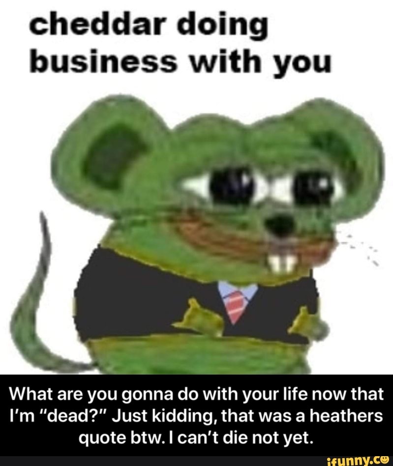 cheddar doing business with you
What are you gonna do with your life now that
I'm "dead?" Just kidding, that was a heathers quote btw. can't die not yet. - What are you gonna do with your life now that I’m “dead?” Just kidding, that was a heathers quote btw. I can’t die not yet.